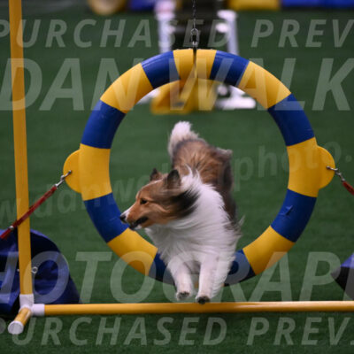 Storm-Carol-Currier-11351