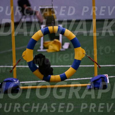 Superstition-Lisa-Trombo-11694
