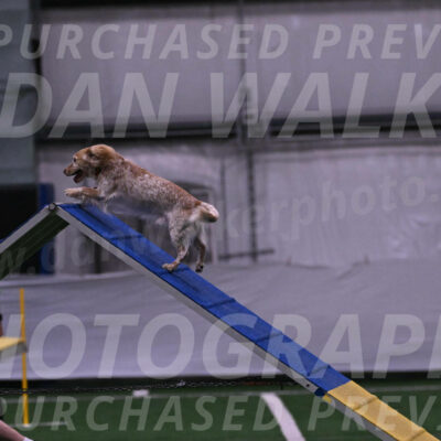 Swing-Lisa-Lombard-01845