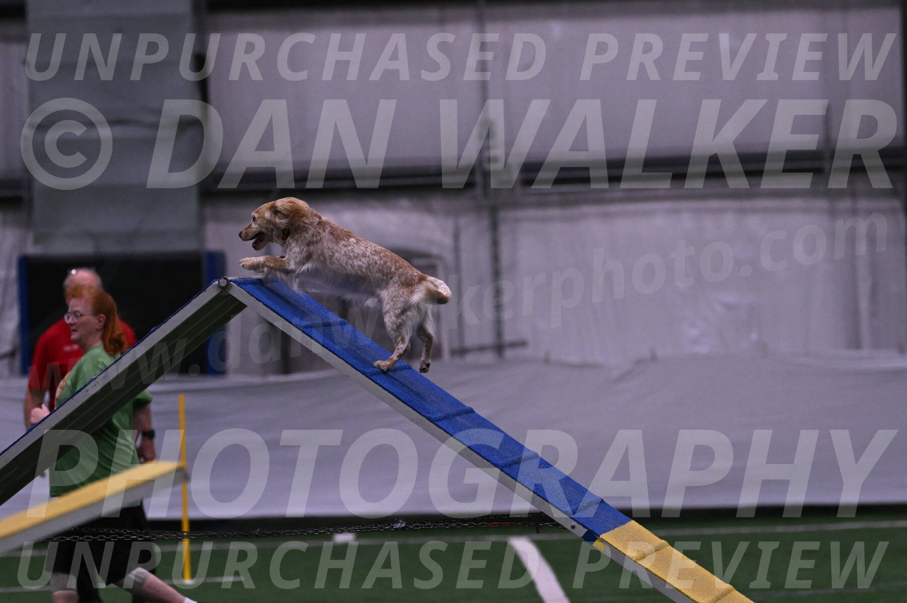 Swing-Lisa-Lombard-01845