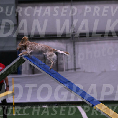 Swing-Lisa-Lombard-01846