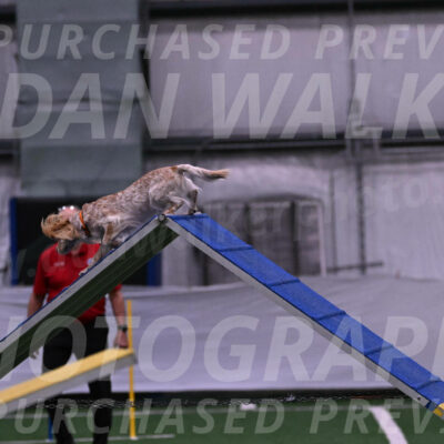 Swing-Lisa-Lombard-01847