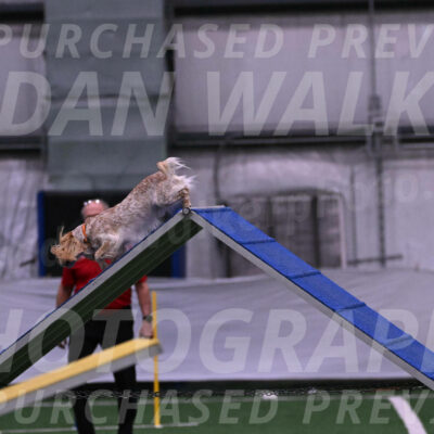 Swing-Lisa-Lombard-01848
