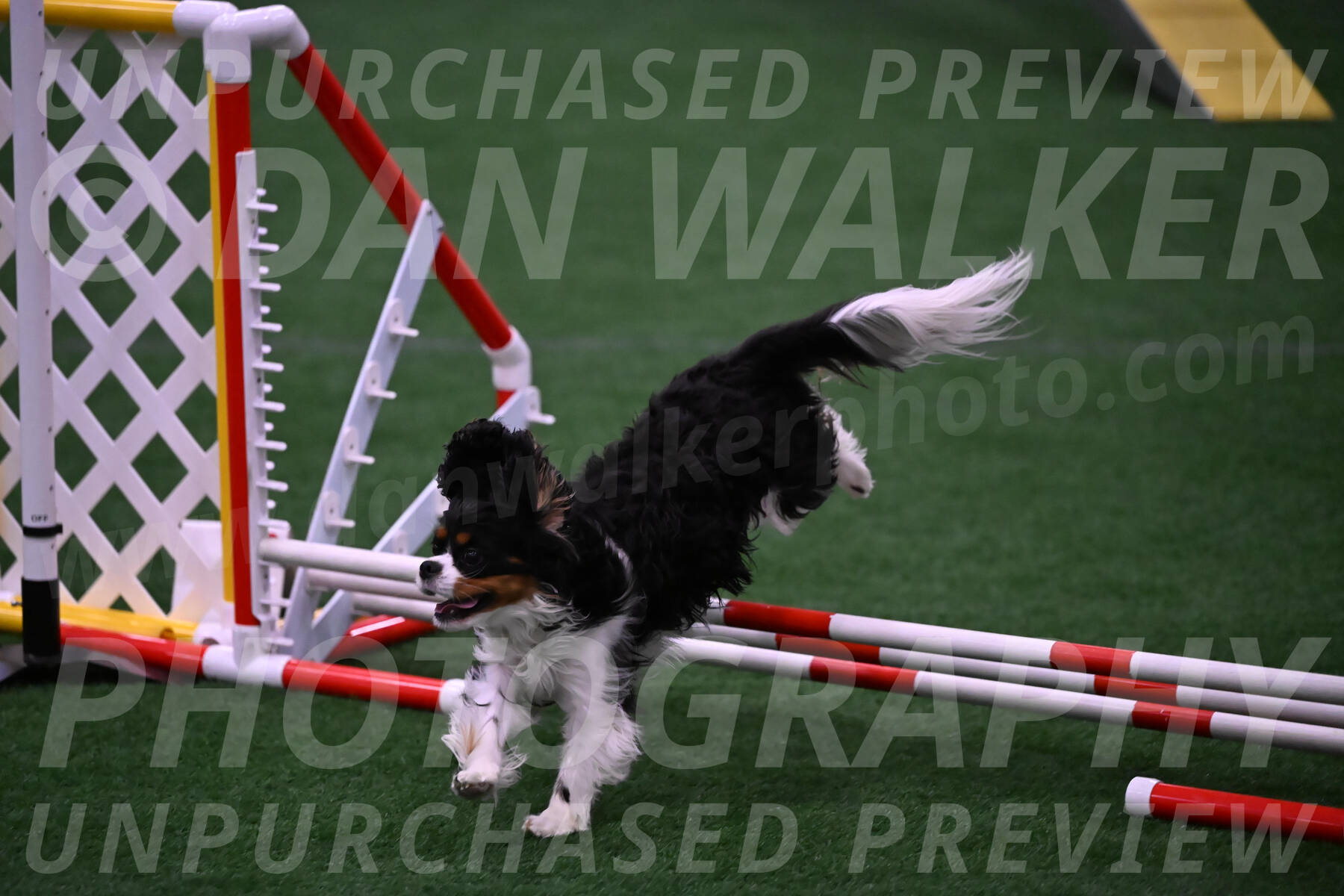 Theo-Leo-Amy-Jeske-08261