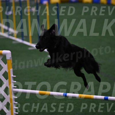 Theo-Leo-Amy-Jeske-08304