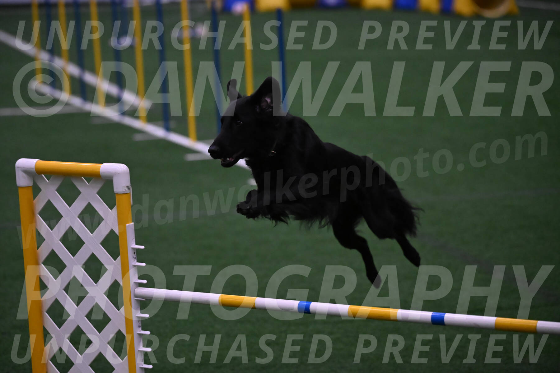 Theo-Leo-Amy-Jeske-08304