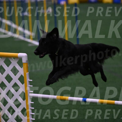 Theo-Leo-Amy-Jeske-08305