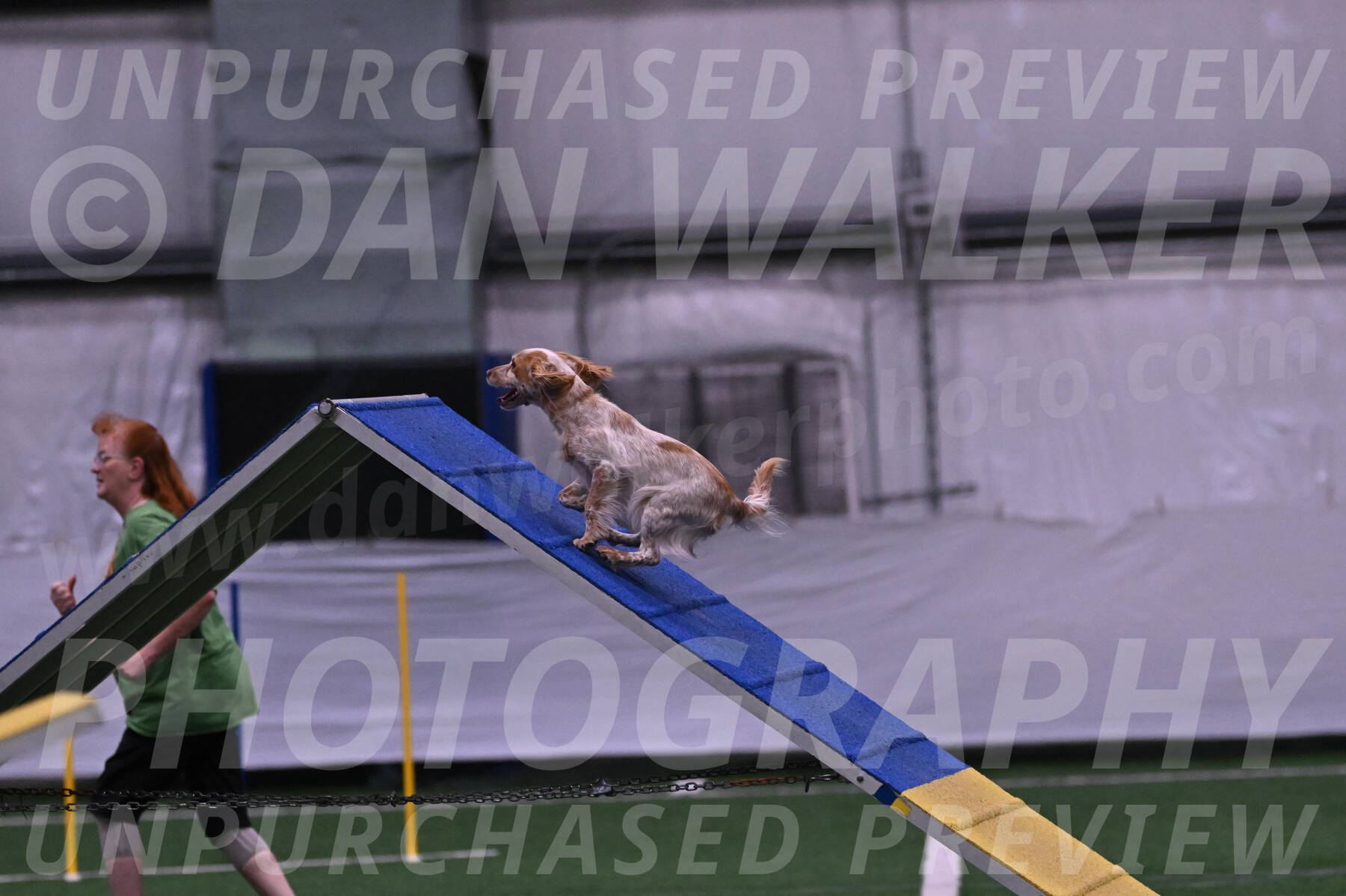 Wendy-Julie-Ashley-10992