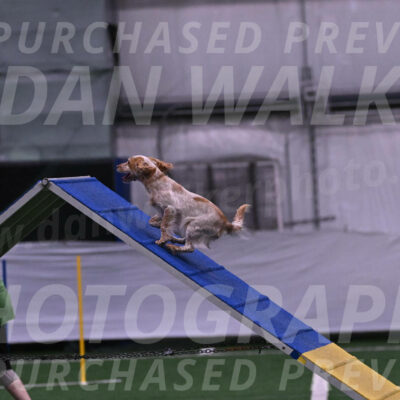 Wendy-Julie-Ashley-10992