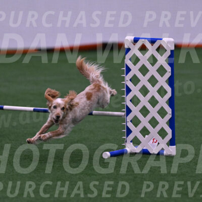Wendy-Julie-Ashley-11008