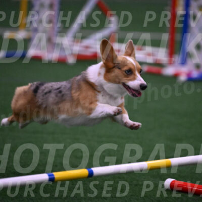 Winnie-Diane-Meredith-10574
