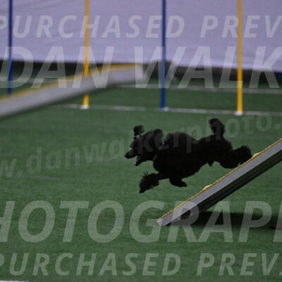 Winston-Madison-Canton-05652