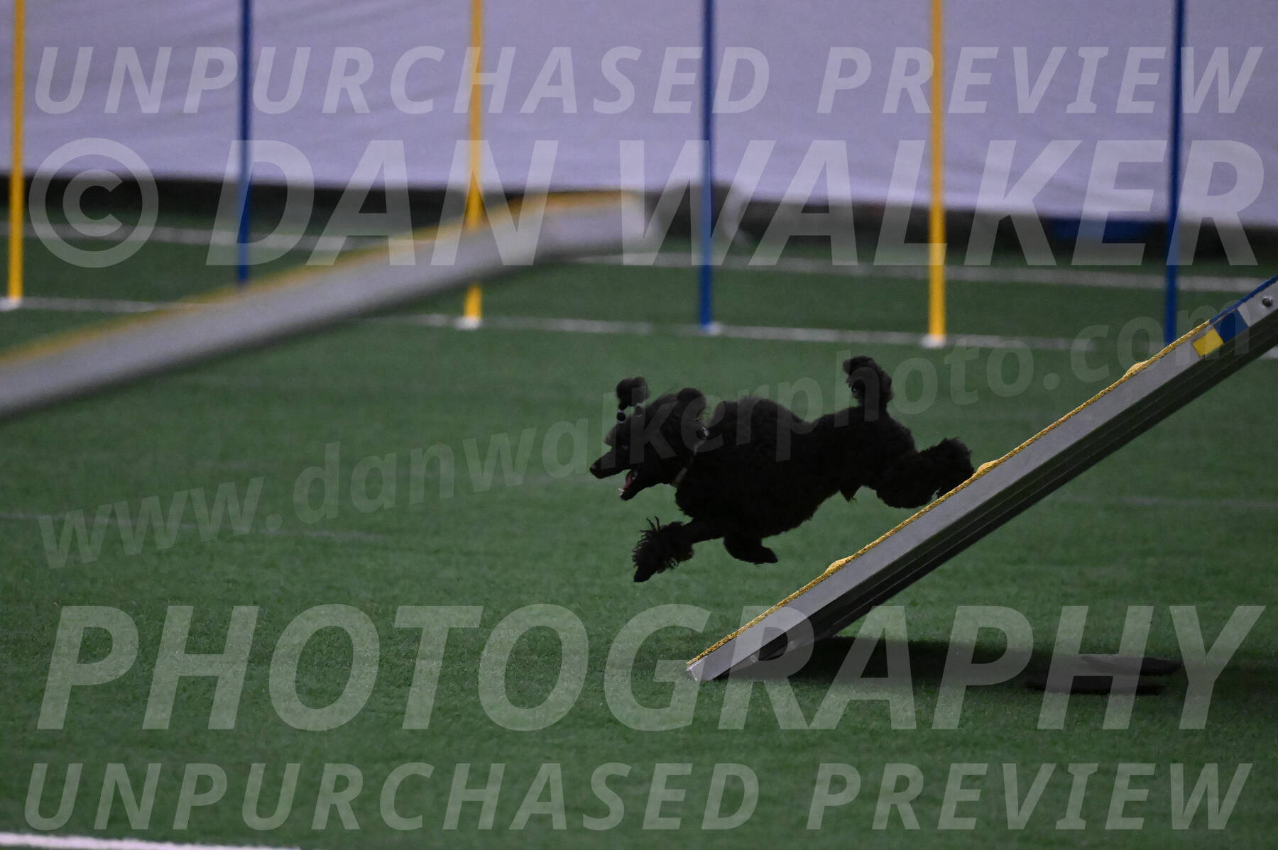 Winston-Madison-Canton-05652