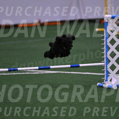 Winston-Madison-Canton-05656
