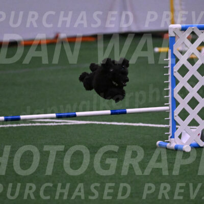 Winston-Madison-Canton-05657