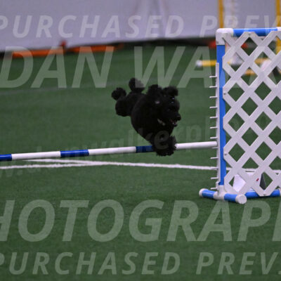 Winston-Madison-Canton-05658