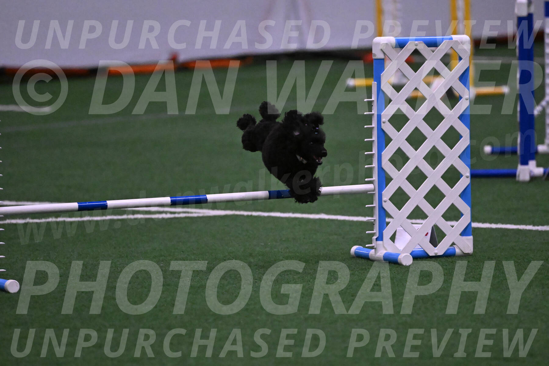 Winston-Madison-Canton-05658