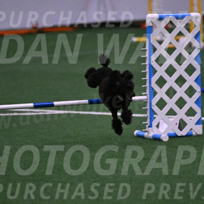 Winston-Madison-Canton-05659
