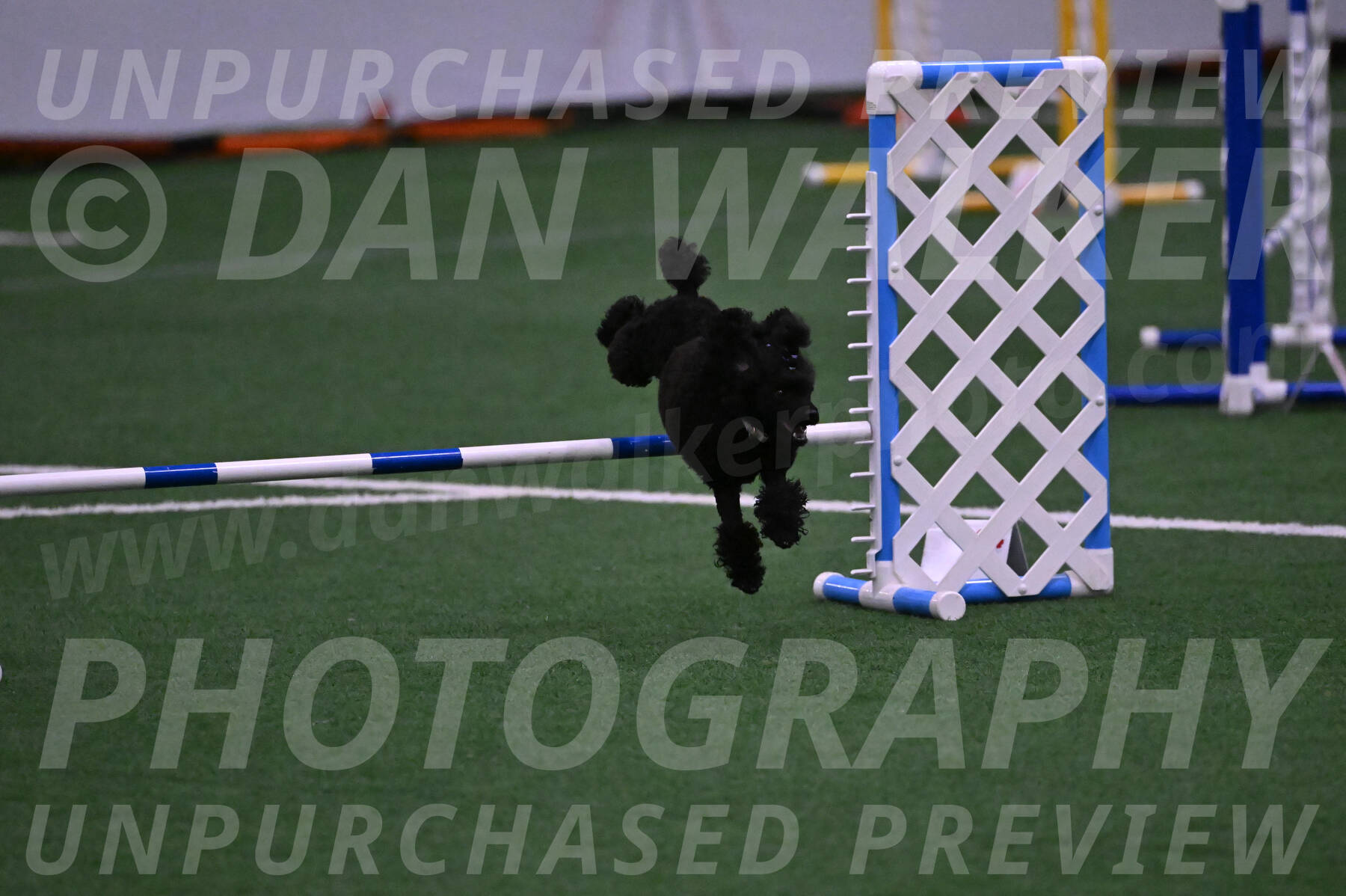 Winston-Madison-Canton-05659