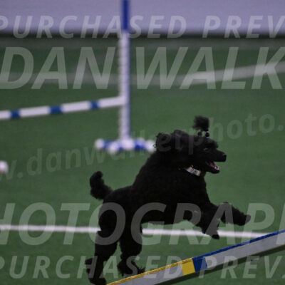Winston-Madison-Canton-05661