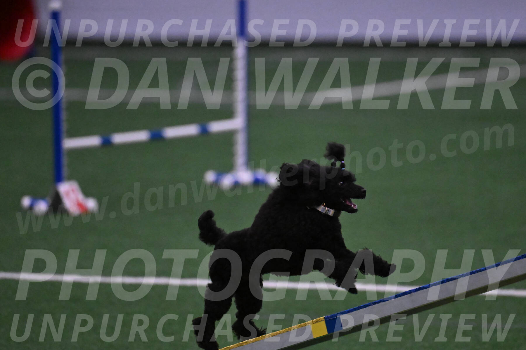 Winston-Madison-Canton-05661