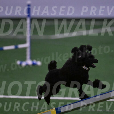 Winston-Madison-Canton-05662