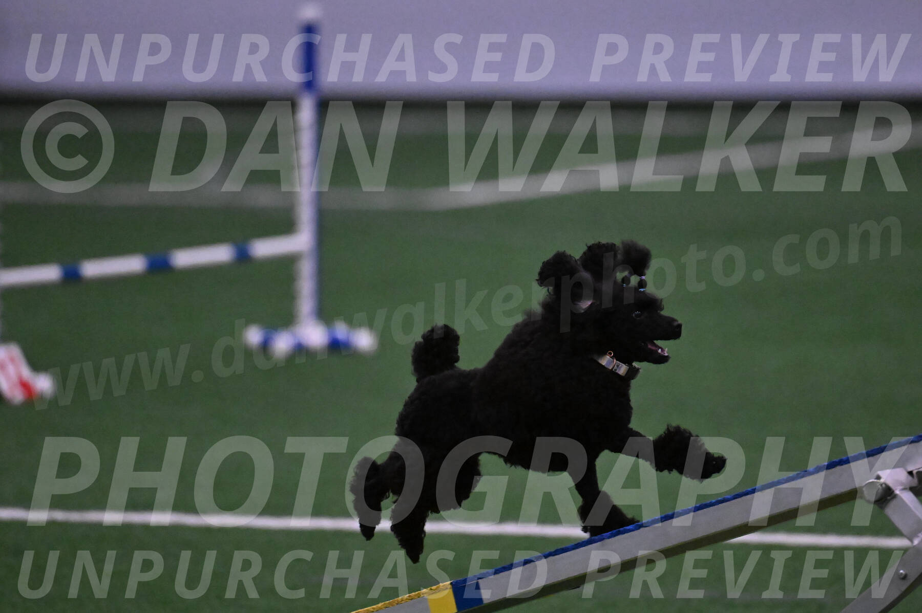 Winston-Madison-Canton-05662