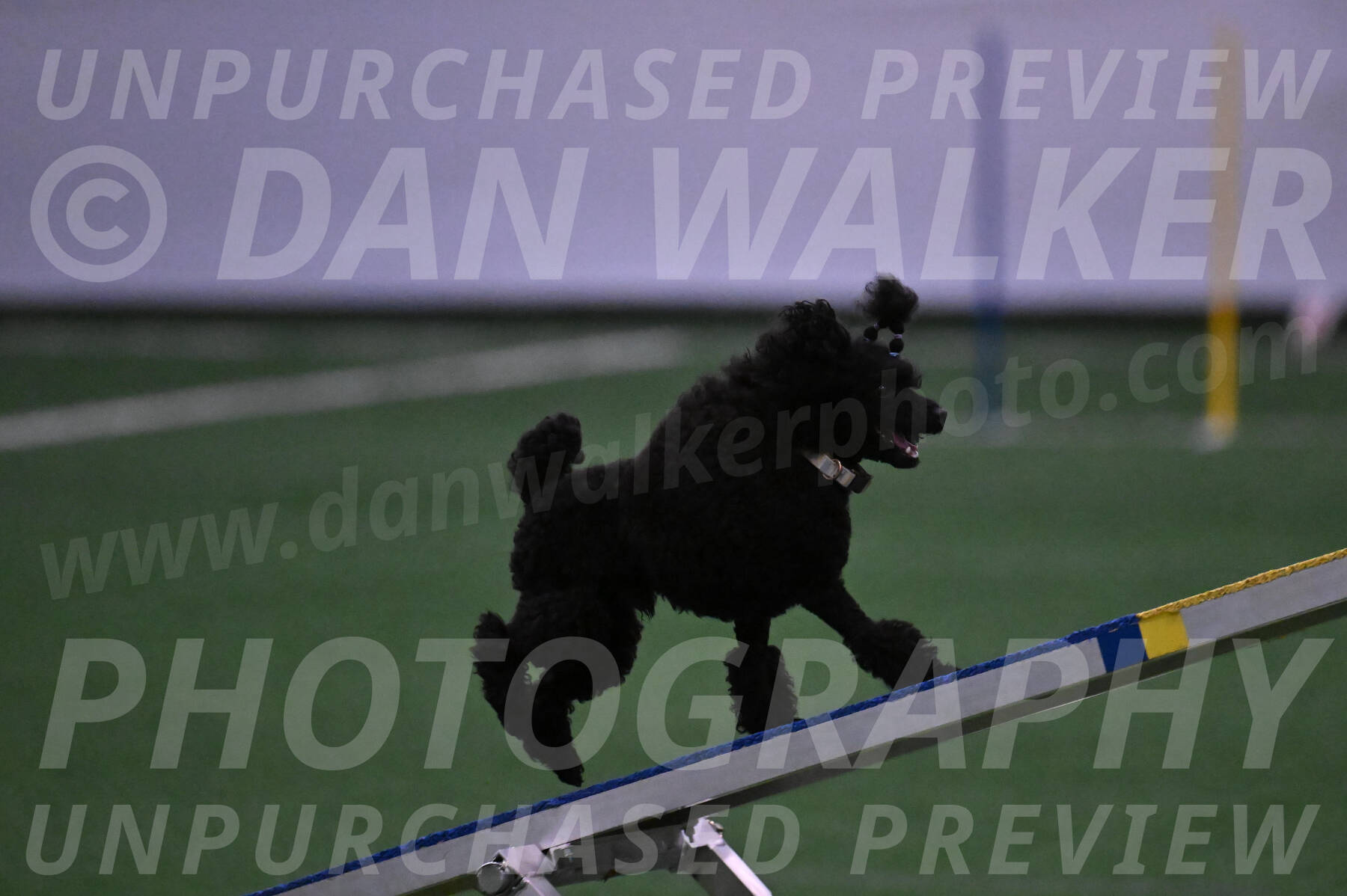 Winston-Madison-Canton-05663