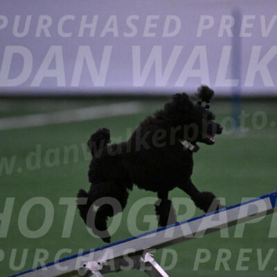 Winston-Madison-Canton-05663