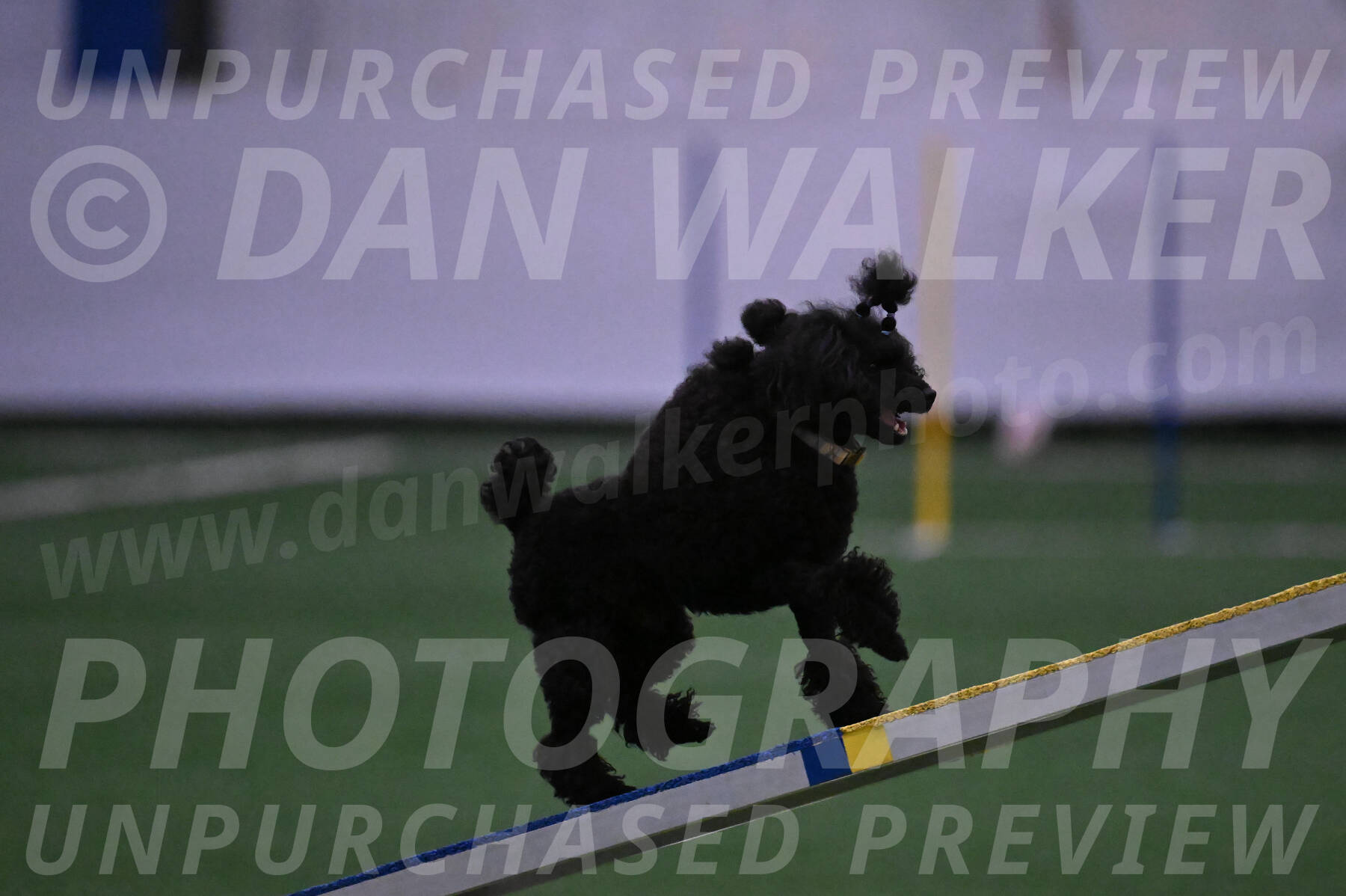 Winston-Madison-Canton-05666