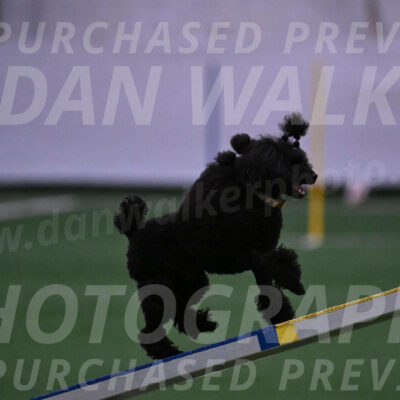 Winston-Madison-Canton-05666