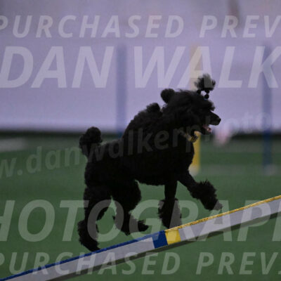 Winston-Madison-Canton-05667
