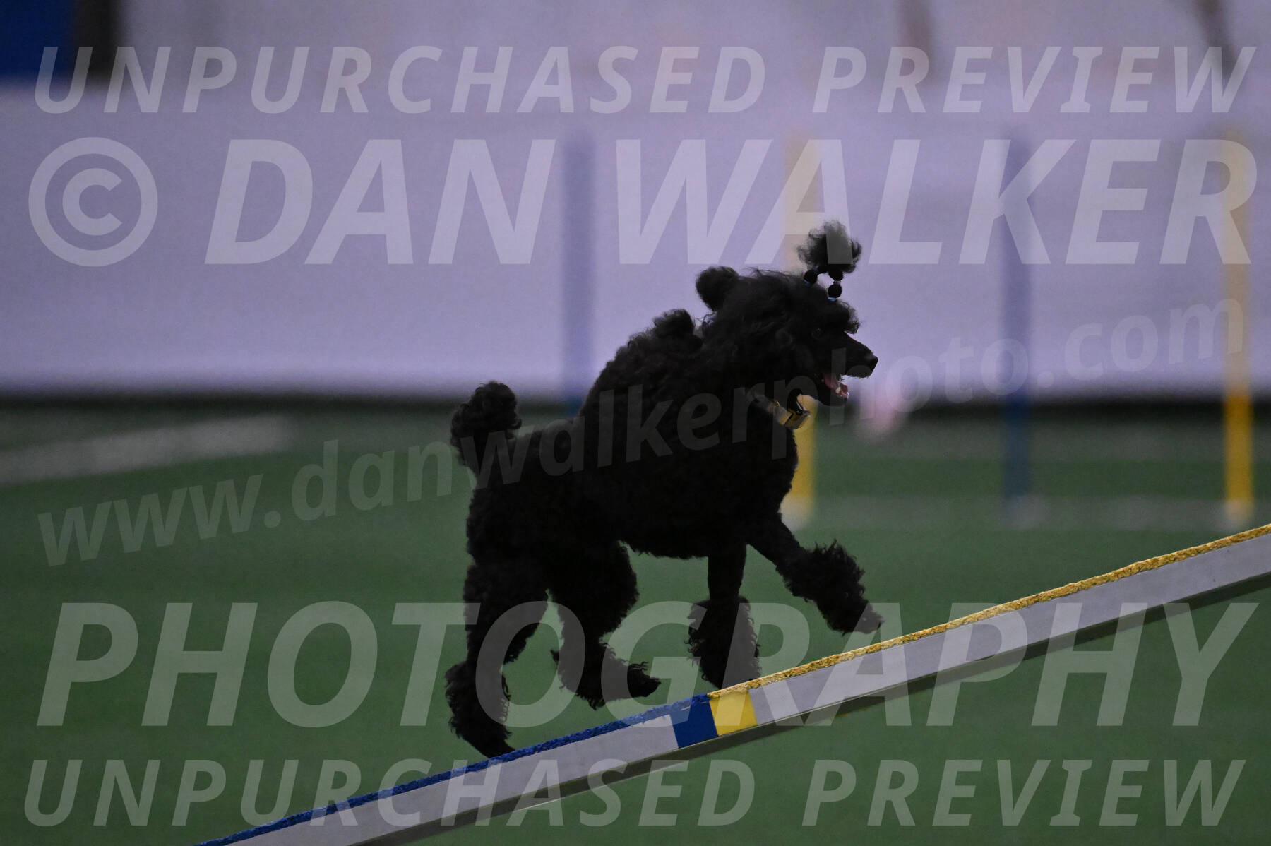 Winston-Madison-Canton-05667