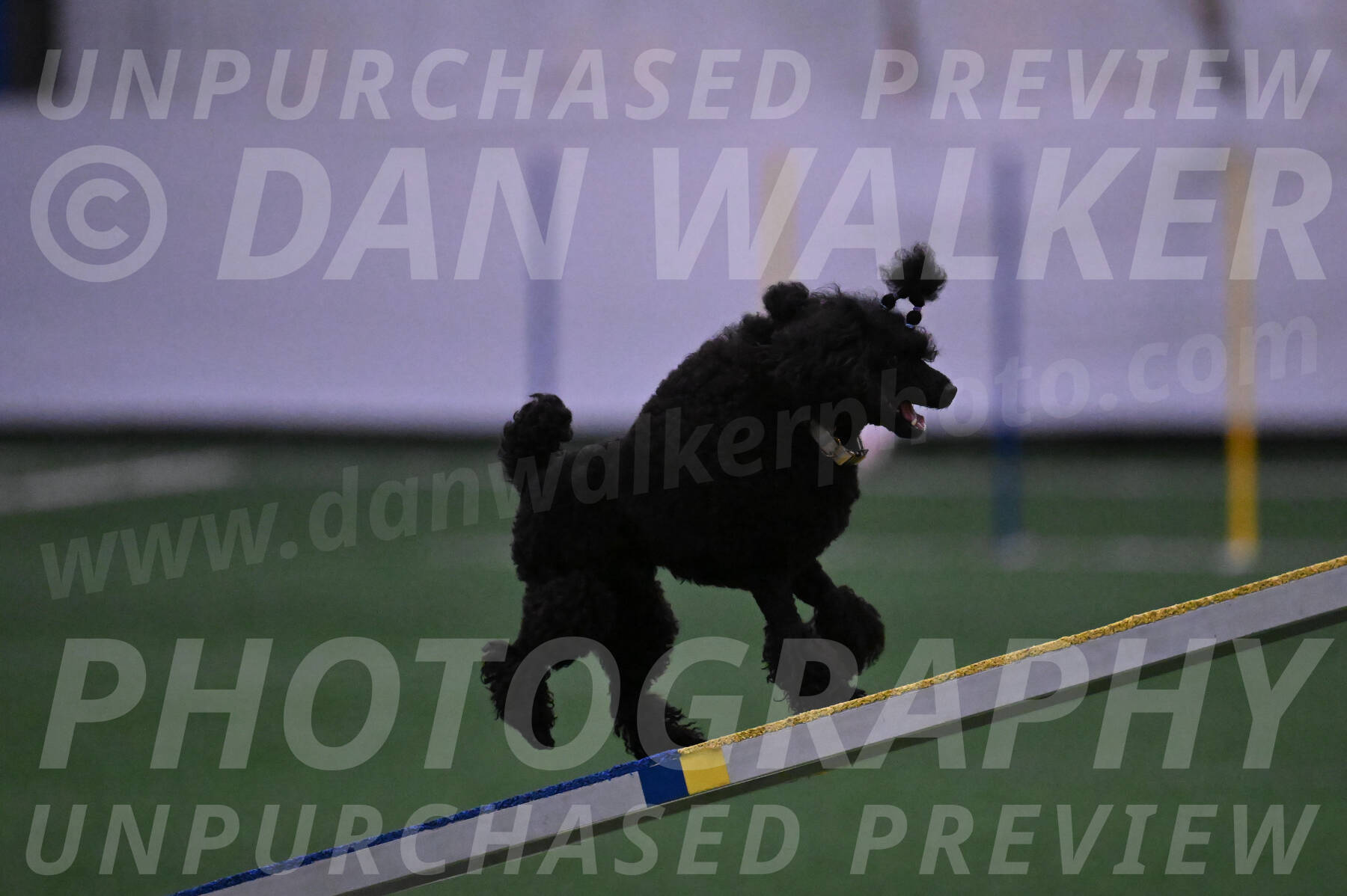 Winston-Madison-Canton-05668