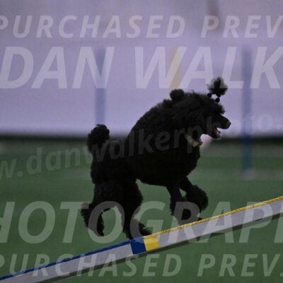 Winston-Madison-Canton-05668