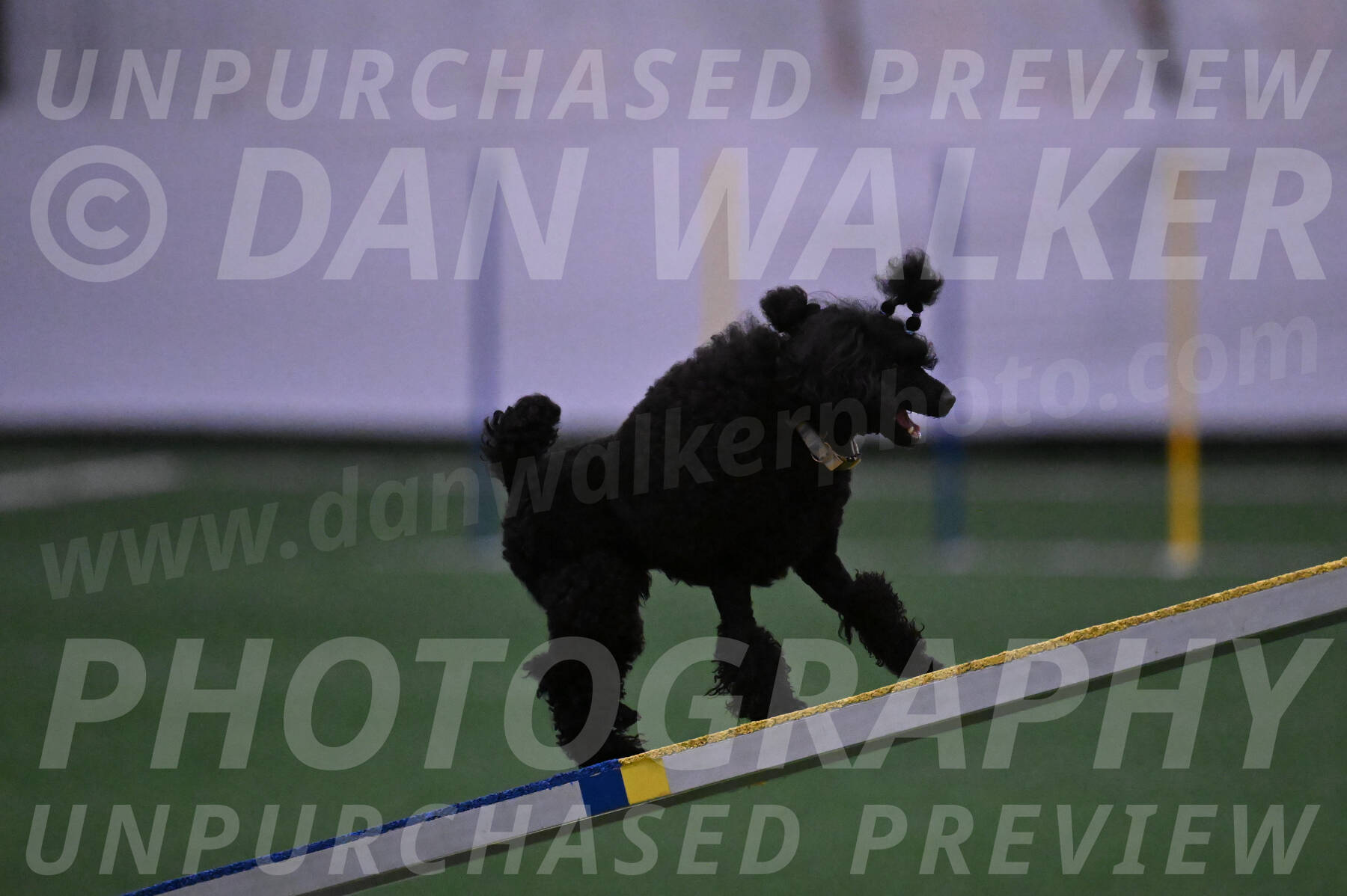 Winston-Madison-Canton-05669