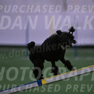Winston-Madison-Canton-05669