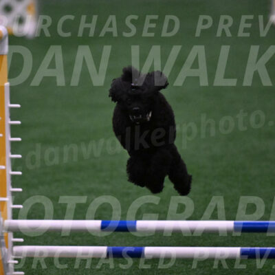 Winston-Madison-Canton-05675