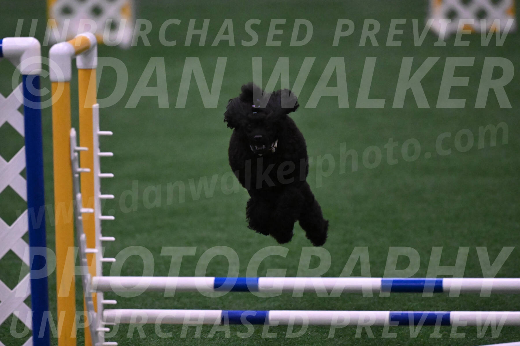 Winston-Madison-Canton-05675