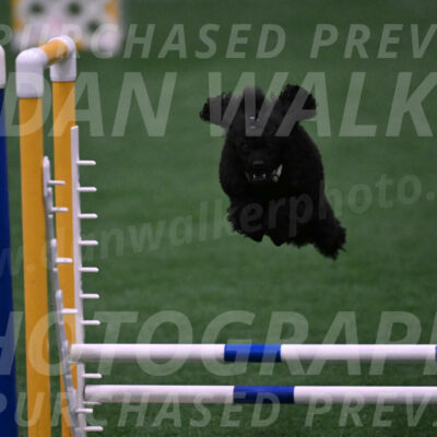 Winston-Madison-Canton-05676