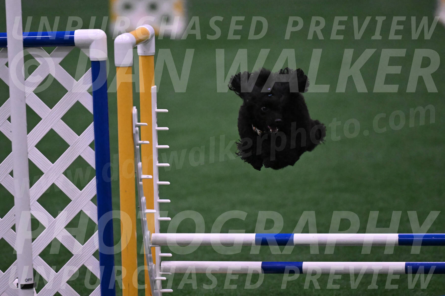 Winston-Madison-Canton-05677