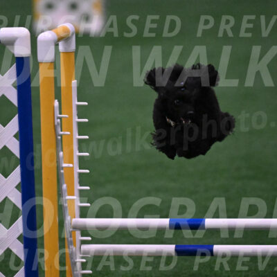 Winston-Madison-Canton-05677