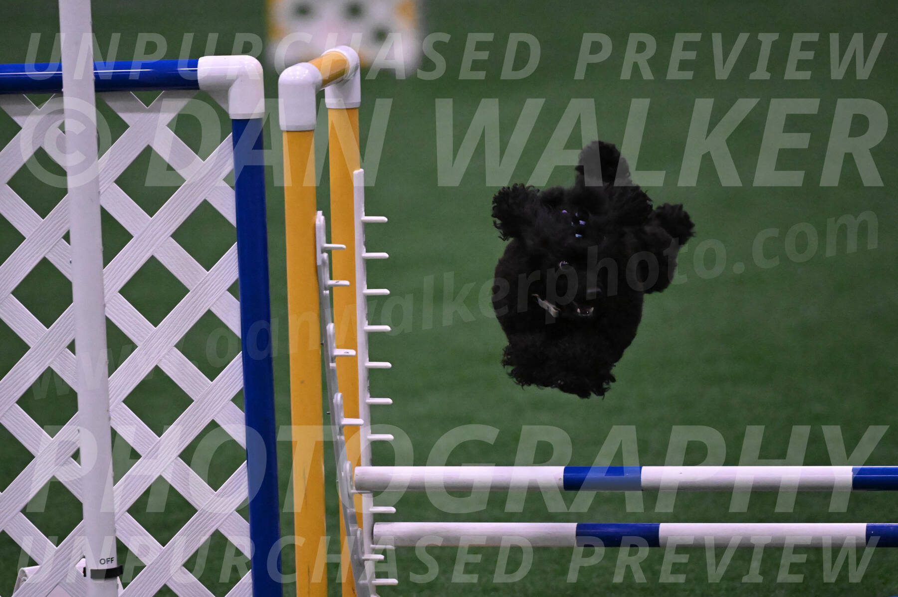 Winston-Madison-Canton-05678