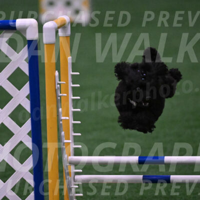 Winston-Madison-Canton-05678