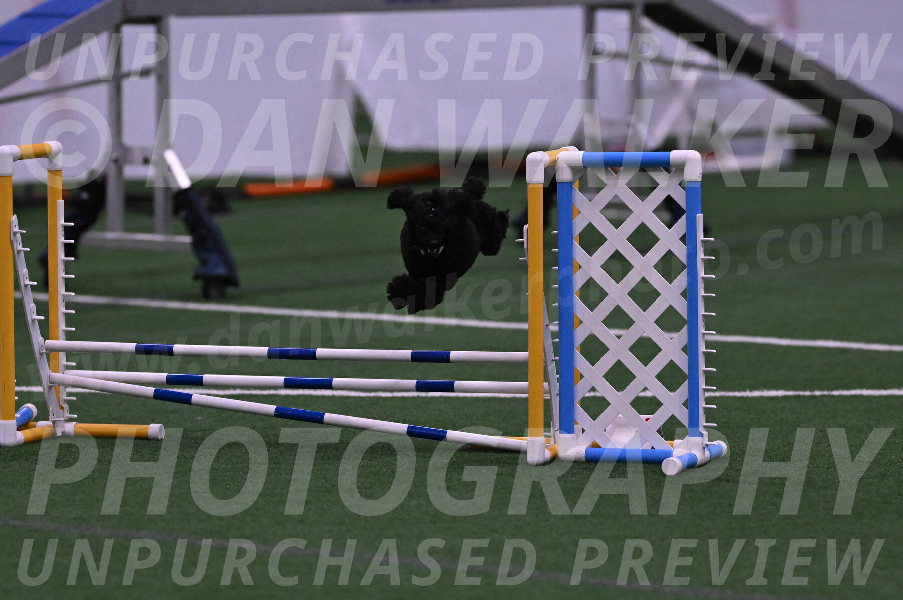 Winston-Madison-Canton-05696