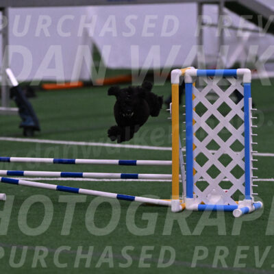Winston-Madison-Canton-05696