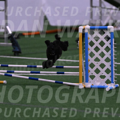 Winston-Madison-Canton-05697