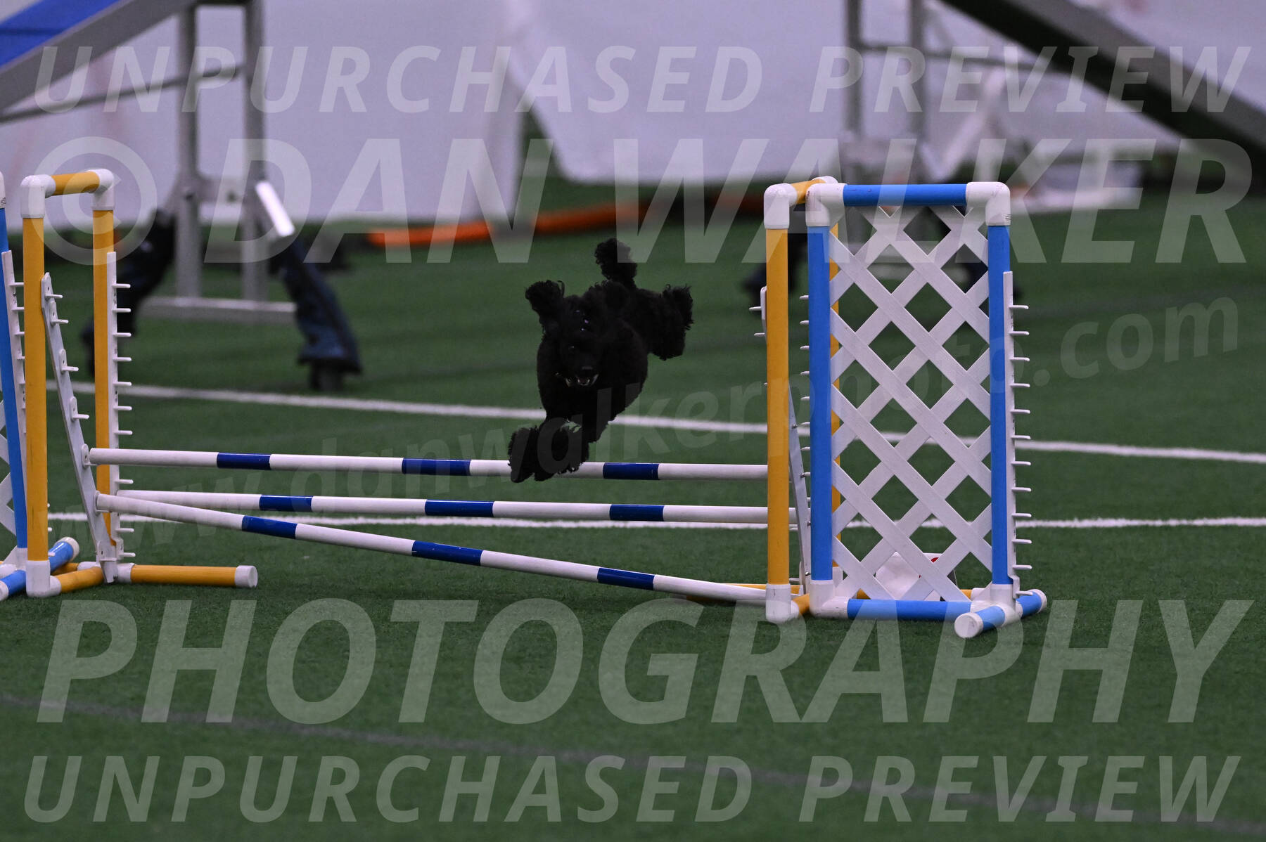 Winston-Madison-Canton-05697