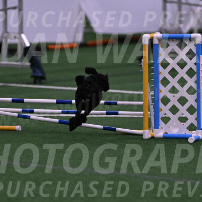 Winston-Madison-Canton-05698