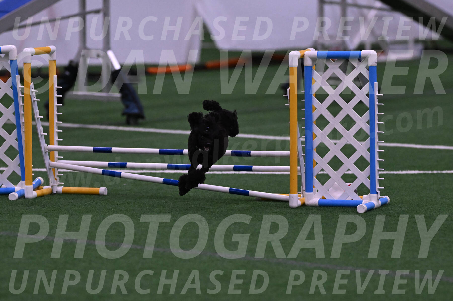 Winston-Madison-Canton-05698